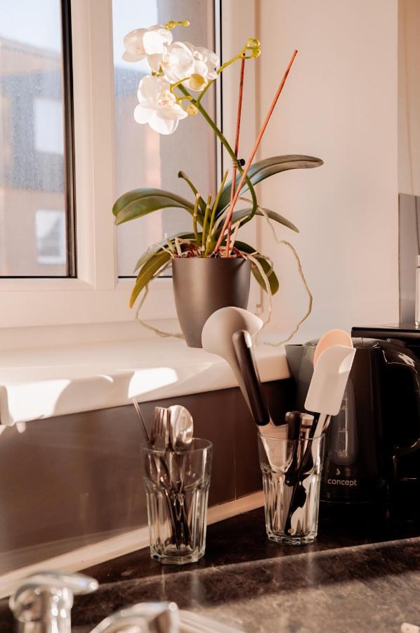 Apartmany Centrum Novy Bor Exterior photo